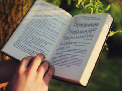 A literatura como espelho da ética e da vida na leitura defendida por Hebron Costa Cruz de Oliveira.