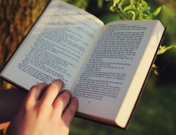 A literatura como espelho da ética e da vida na leitura defendida por Hebron Costa Cruz de Oliveira.
