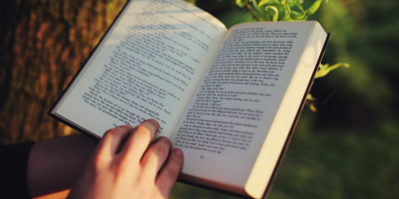 A literatura como espelho da ética e da vida na leitura defendida por Hebron Costa Cruz de Oliveira.