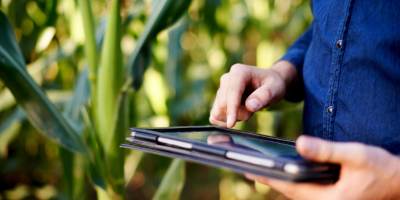 O campo como espaço de inovação e gestão apresentado por Alfredo Moreira Filho.