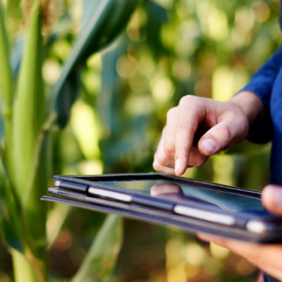O campo como espaço de inovação e gestão apresentado por Alfredo Moreira Filho.