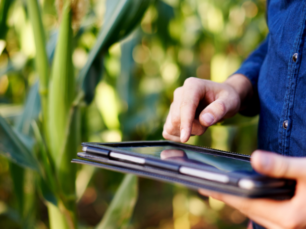 O campo como espaço de inovação e gestão apresentado por Alfredo Moreira Filho.