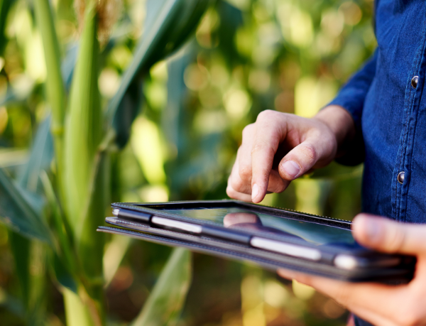 O campo como espaço de inovação e gestão apresentado por Alfredo Moreira Filho.