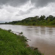 Rio Acre em Rio Branco durante período de aumento das chuvas, com margem ribeirinha e vegetação amazônica ao fundo